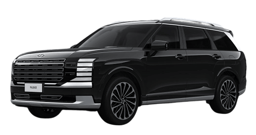 Hyundai-palisade-dp-black-1